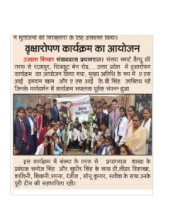 Tree Plantation (10)